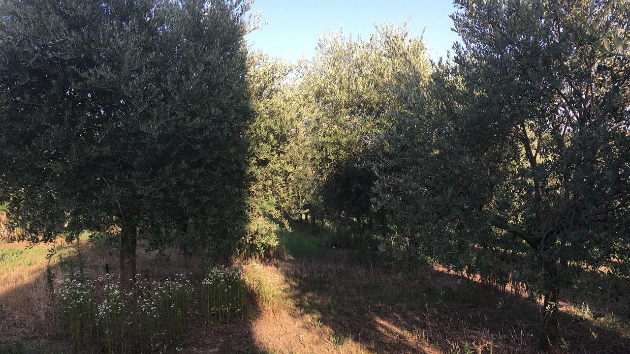 Casa Vacanze Soleluna Montichiari Dış mekan fotoğraf